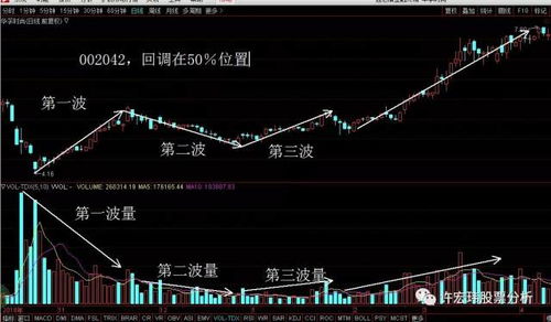 股票量化分析基礎(chǔ)知識