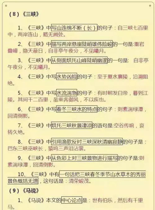 初中階段語(yǔ)文基礎(chǔ)知識(shí)