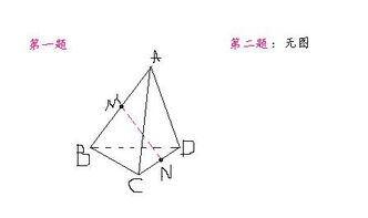 立體幾何入門基礎(chǔ)知識