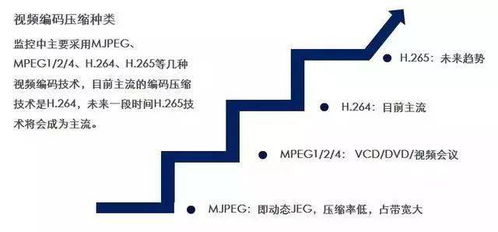 春季果木維護基礎(chǔ)知識
