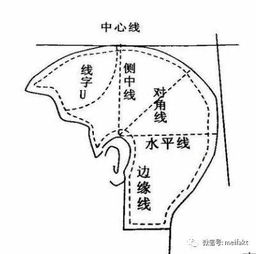 點線面美發(fā)基礎知識
