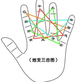 六爻基礎(chǔ)知識匯合