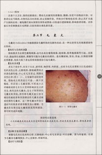 皮膚美容科學基礎知識