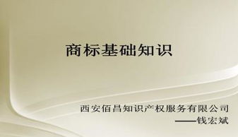 商標(biāo)法基礎(chǔ)知識(shí)ppt