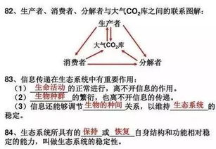 體育課教訓(xùn)目的要求教材重難點(diǎn)基礎(chǔ)知識訓(xùn)練