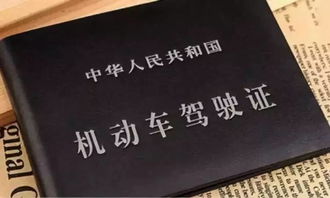 駕照科一基礎(chǔ)知識