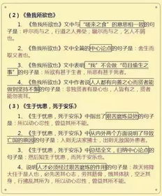 基礎(chǔ)知識還是不扎實