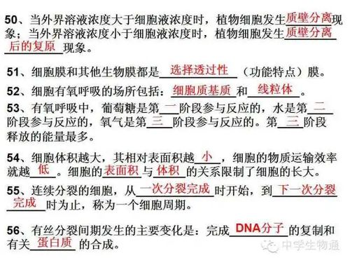 高中生物必修1-3基礎知識填空