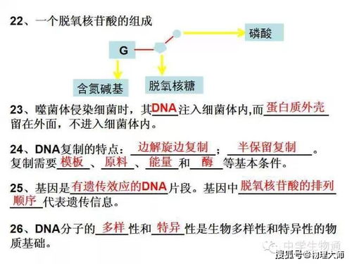 辯證法基礎(chǔ)知識百度文庫