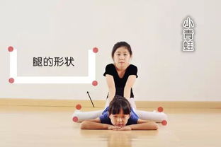舞蹈技巧基礎(chǔ)知識