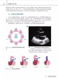 心超基礎(chǔ)知識