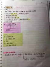 會計基礎(chǔ)知識學(xué)霸筆記