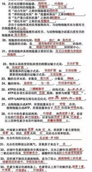 知識點,填空,基礎(chǔ)知識,生物