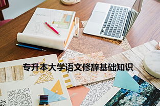 廣西,專升本,基礎(chǔ)知識(shí),語文