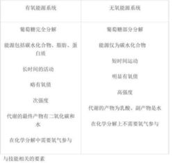 健身基礎(chǔ)理論知識講解