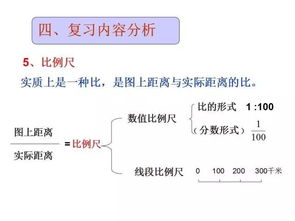 基礎(chǔ)知識(shí),比例