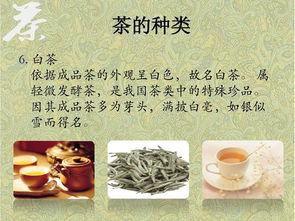 中國(guó)茶的基礎(chǔ)知識(shí)