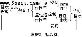 高二生物基礎(chǔ)知識(shí)過(guò)關(guān)