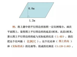 人體比例基礎(chǔ)知識(shí),繪畫(huà)比例結(jié)構(gòu)基礎(chǔ)知識(shí),第六單元基礎(chǔ)知識(shí)