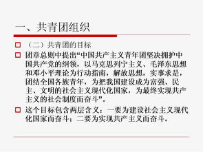 共青團(tuán)基礎(chǔ)知識(shí)問(wèn)卷答案