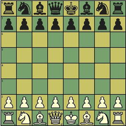 國(guó)際象棋的基礎(chǔ)知識(shí)