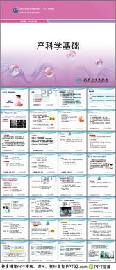 妊娠基礎(chǔ)知識(shí)PPT