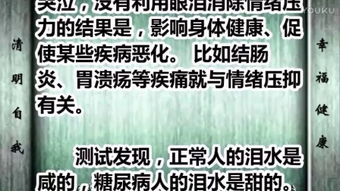 心理學(xué)會(huì)談基礎(chǔ)知識(shí)