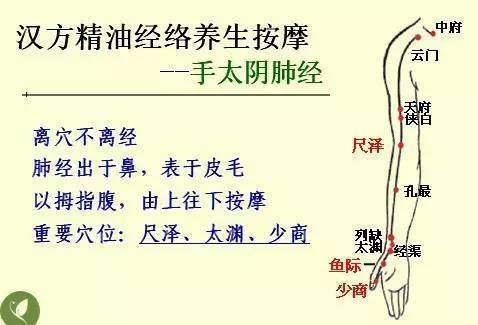 中醫(yī)基礎(chǔ)知識大全