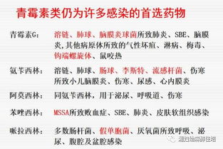抗菌藥物基礎(chǔ)知識(shí)培訓(xùn)試題及答案
