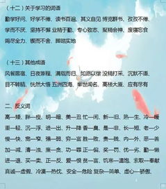 基礎(chǔ)知識,小學生
