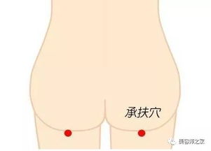 設(shè)備維修與保養(yǎng)基礎(chǔ)知識,工程機械保養(yǎng)的基礎(chǔ)知識,珠寶首飾的保養(yǎng)基礎(chǔ)知識?