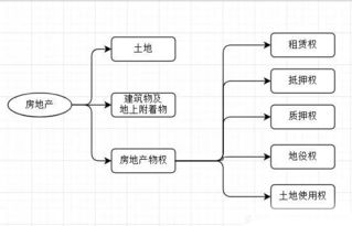 四個基礎(chǔ)內(nèi)容是指基本知識