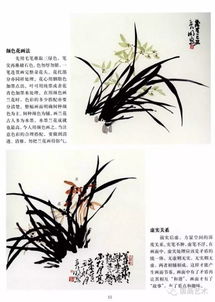 中國畫基礎(chǔ)知識教案,中國畫基礎(chǔ)知識及技能,中國畫基礎(chǔ)知識ppt