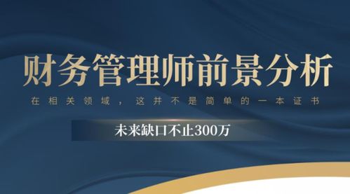 財(cái)務(wù)基礎(chǔ)及專業(yè)知識(shí)