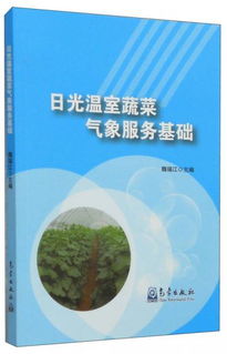 基礎(chǔ)知識,氣象,服務(wù)