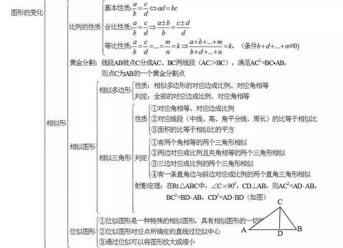 初中數(shù)學(xué)知識點基礎(chǔ)梳理