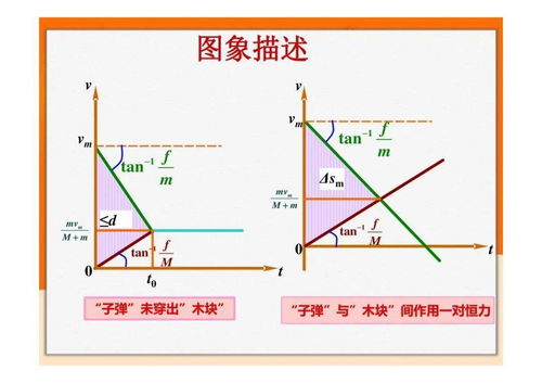 高一物理動量基礎(chǔ)知識
