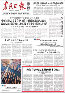 怎樣夯實發(fā)展基礎知識