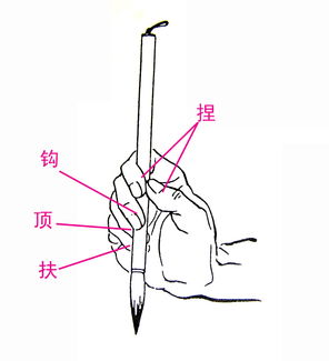 毛筆書法基礎知識微盤