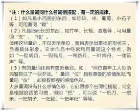 人教版小升初語文基礎知識匯總