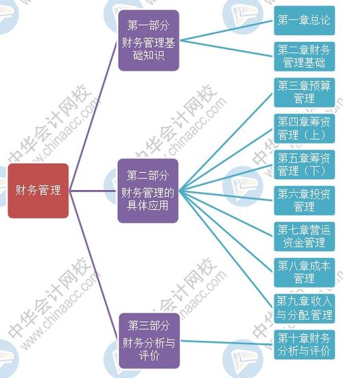 財務(wù)的基本基礎(chǔ)知識