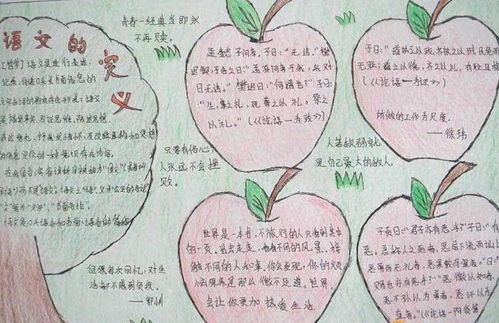 第一單元基礎(chǔ)知識歸類手抄報語文