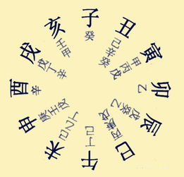 八字入門基礎知識PPT