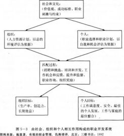 基礎(chǔ)的人力資源管理知識(shí)
