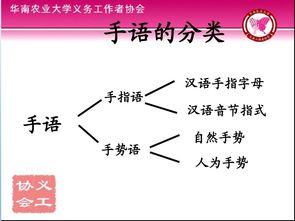初級手語基礎(chǔ)知識