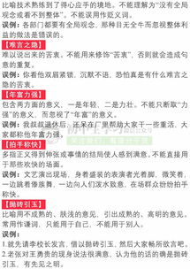 考查,成語,基礎(chǔ)知識(shí),初中語文