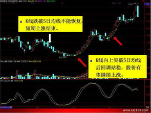 均線圖基礎(chǔ)知識(shí)講解