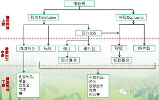 天然橡膠交易基礎(chǔ)知識(shí)