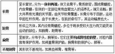 醫(yī)學(xué)基礎(chǔ)理論知識(shí)考試題